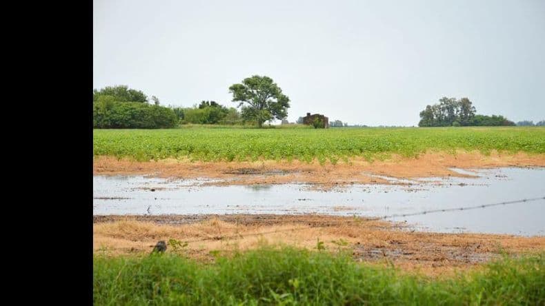 El análisis del comportamiento del clima durante 2015