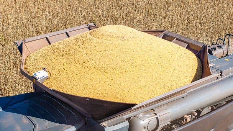 Menos presión fiscal: el campo paga la menor carga en siete años