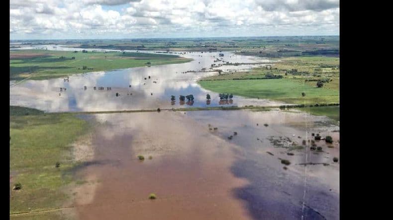 El comportamiento del clima durante 2016 en el análisis de Néstor Pacini