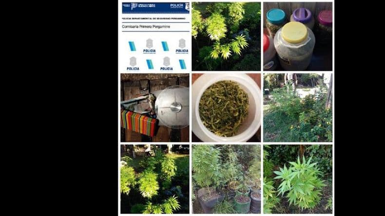 Secuestran casi cinco kilos de marihuana en Fontezuela