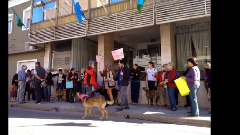 Reclamo de proteccionistas por maltrato y delitos cometidos contra animales