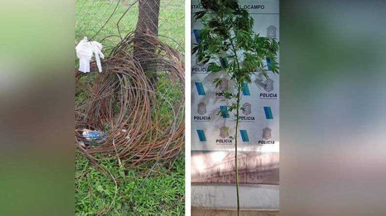 Robaron más de 500 metros de cables en Manuel Ocampo