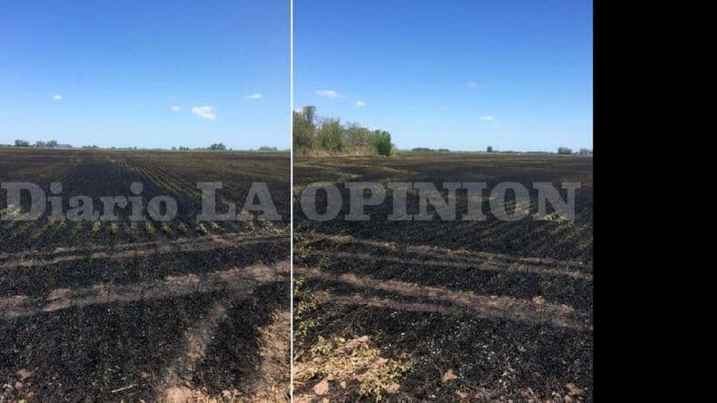 Los incendios de campos, un problema de la época potenciado por la sequía