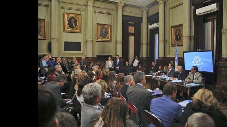 La legalización del aborto se discutirá los martes y miércoles en el Senado