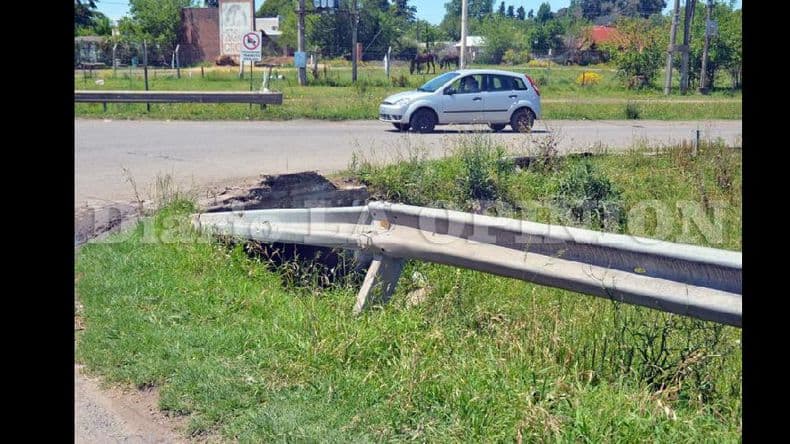 Malestar de vecinos por el estado de avenida Pellegrini y el crecimiento de malezas