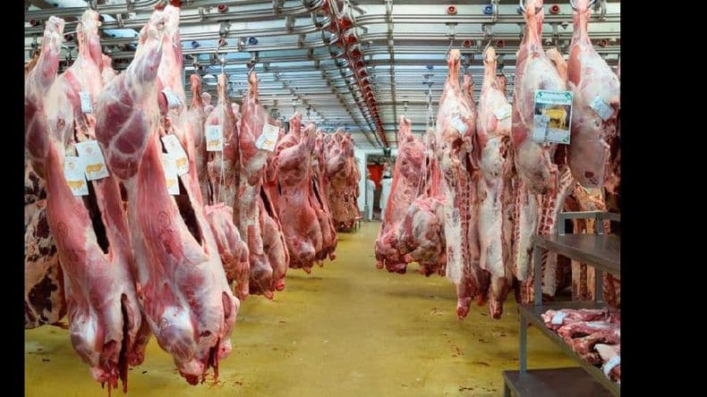 Estiman que exportaciones de carne vacuna y ovina a China comenzarán en mayo