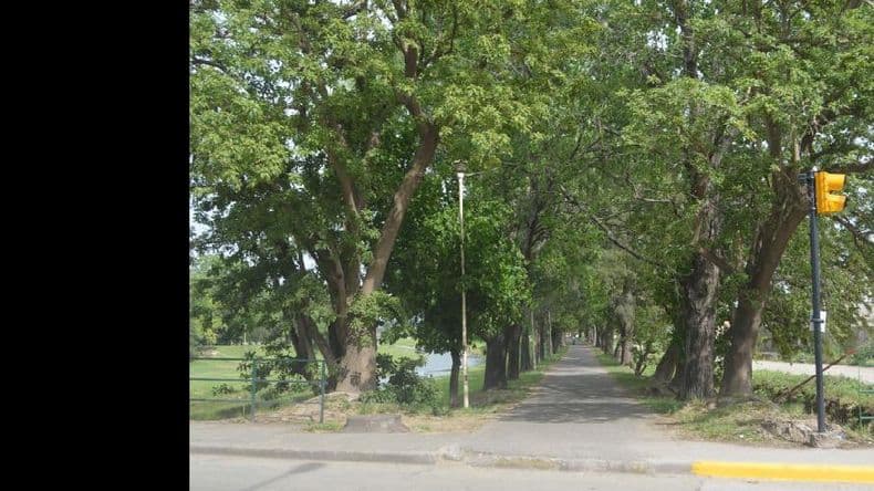 Vecinos de la zona sur de Pergamino reclaman más iluminación en el terraplén