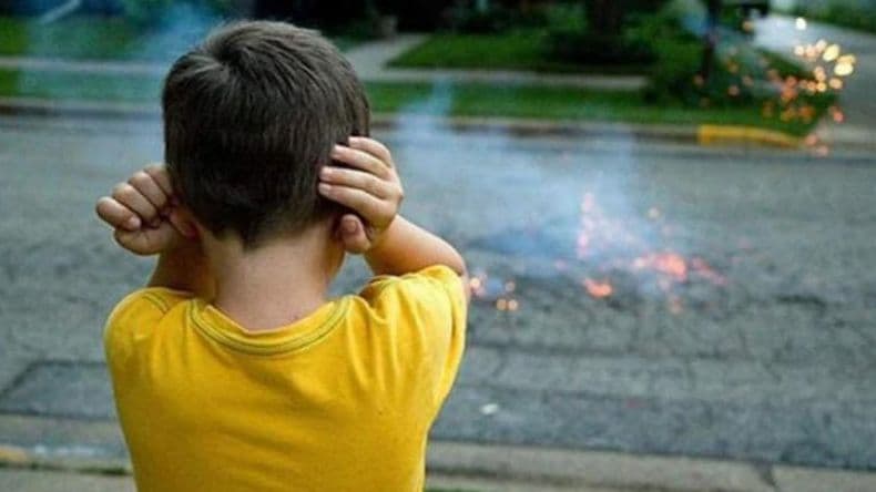 "Fiestas sin ruidos", la propuesta para evitar el uso de la pirotecnia explosiva