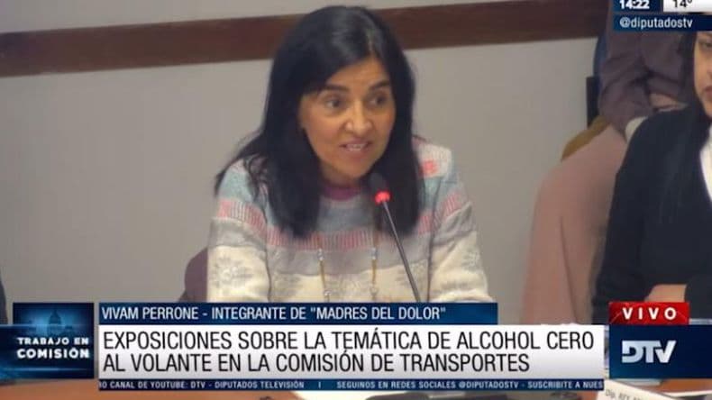 Con invitados comenzó en Diputados el debate sobre el proyecto de alcohol cero al volante