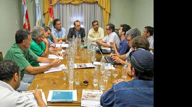 Langostas: lanzan acciones conjuntas contra la plaga