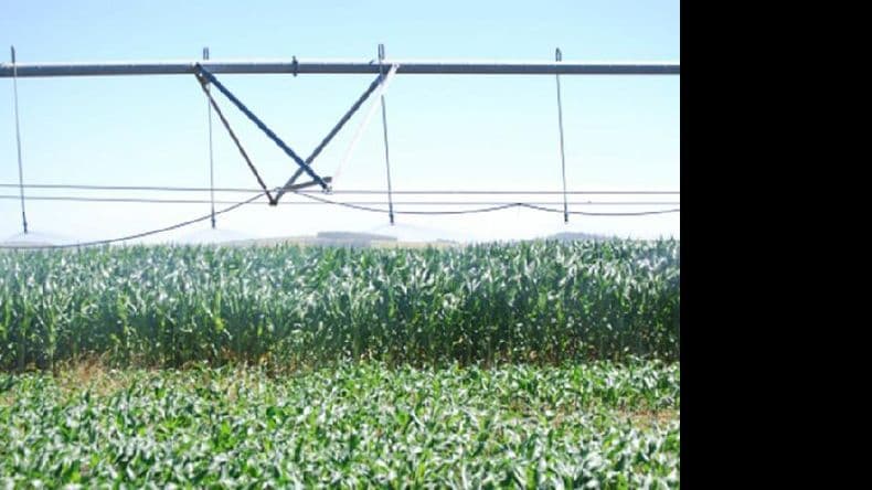 La Argentina, con potencial para triplicar la superficie bajo riego