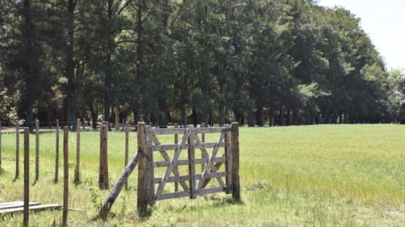 Provincia lanza asistencia económica para arrendatarios afectados por la sequía