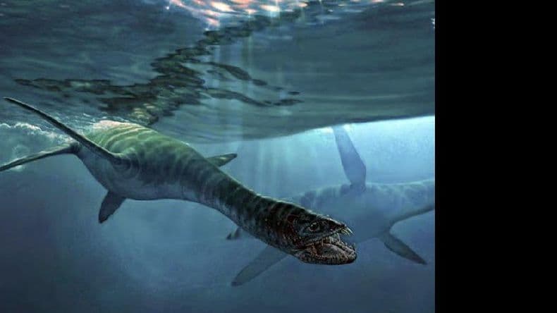Hallaron en la Antártida restos de un reptil similar al “Monstruo del Lago Ness”