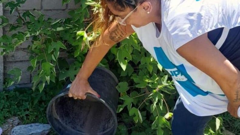 Provincia realiza jornadas de "desencharcado" contra la reproducción del mosquito del dengue