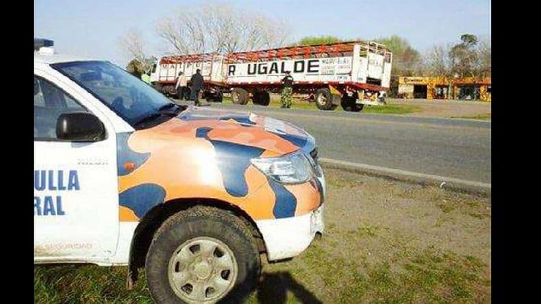 Comenzarán a diagramar controles para disuadir el delito contra el campo