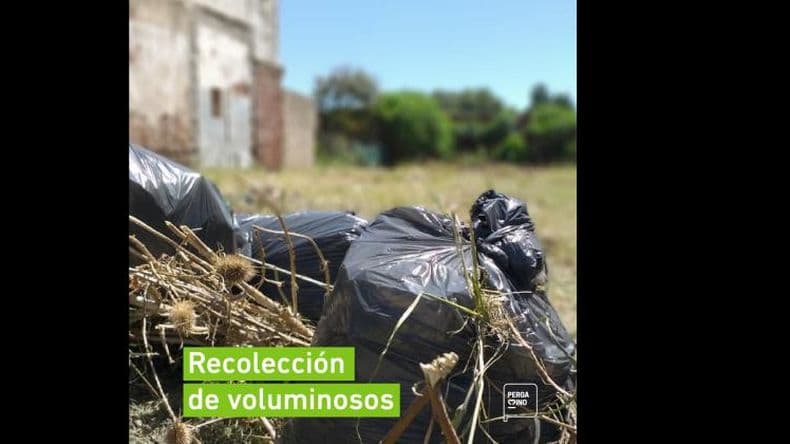 Cronograma de recolección de ramas, escombros y residuos voluminosos para junio