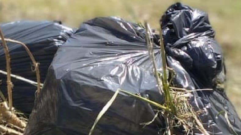 Agosto tiene su cronograma para la recolección de residuos voluminosos
