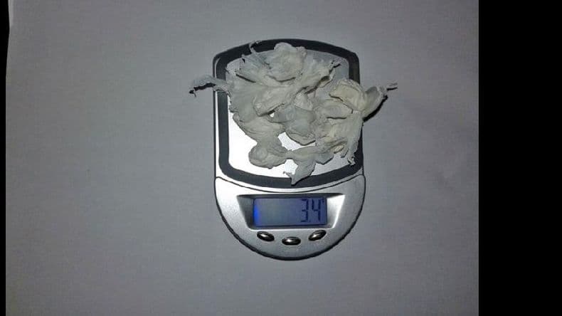 Secuestran cocaína, marihuana y plantas de cannabis en diferentes procedimientos