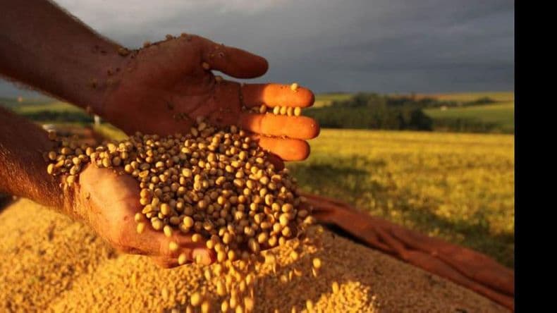 Renta agrícola: el 60,5% se lo lleva el Estado