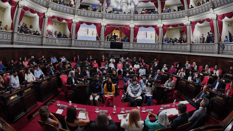 Provincia de Buenos Aires: el senado bonaerense suspendió las PASO: señales cruzadas en el oficialismo