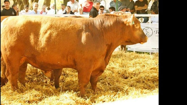 Los precios en Rosgan: un agosto marcado por el agua