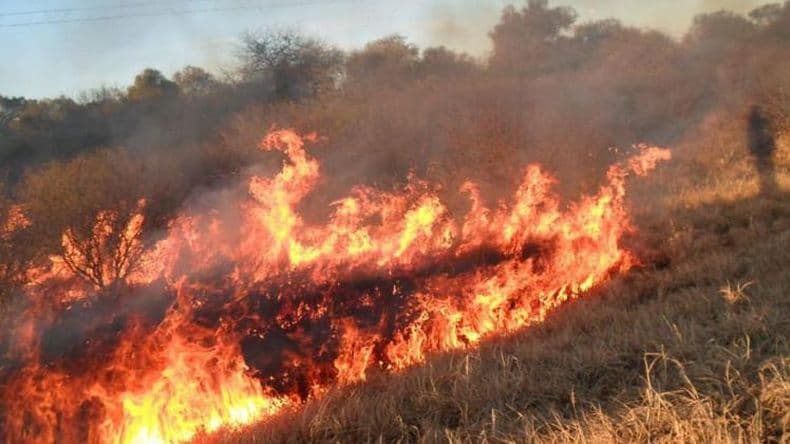 Quema de pastizales, un problema recurrente que se agrava con las altas temperaturas