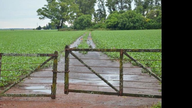 Evalúan cambiar o derogar la Ley de tierras