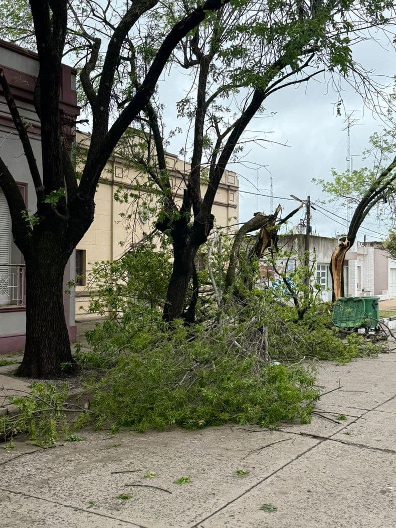 Tormenta con 50 milímetros de precipitaciones en Pergamino y daños por el viento en El Socorro