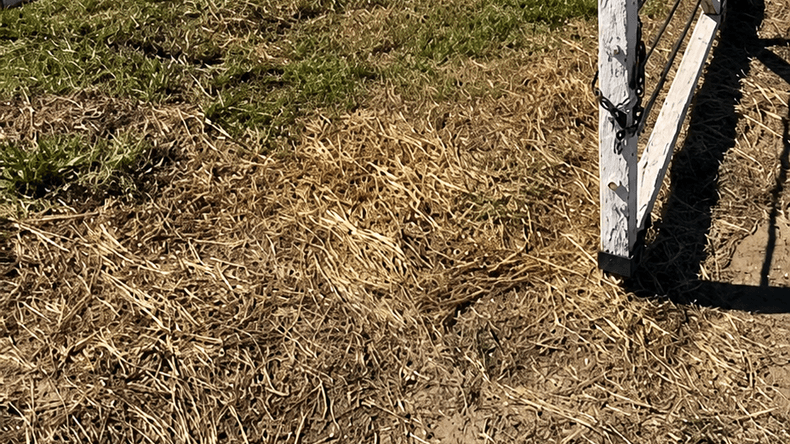 Robo de cables en la ruta 8: ladrones escaparon en un campo pese a un operativo policial fallido
