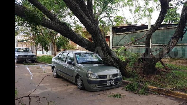 Temporal: demandará algunos días normalizar la prestación de los servicios
