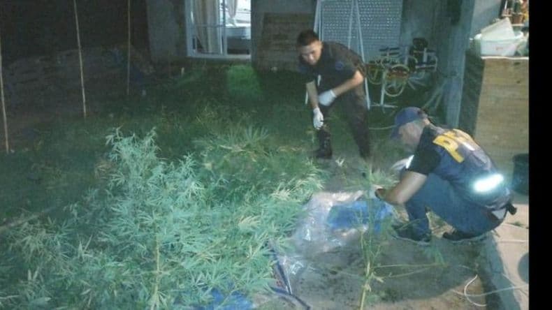 Vendían droga desde una peluquería y la entregaban en cápsulas de huevos Kinder