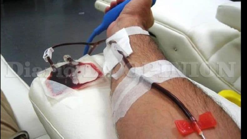 Donantes de médula ósea pueden ingresar al registro en Hemoterapia del Hospital