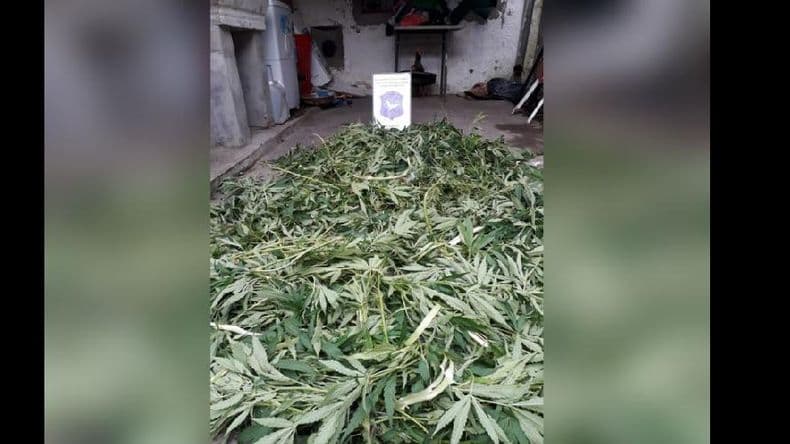 Una joven y su hermano fueron detenidos por comercio de droga