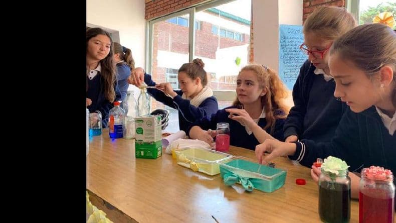 Se realizó otra edición de la Feria de Ciencias en el Colegio San José