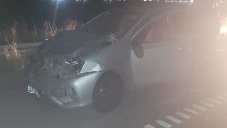 Los caballos sueltos volvieron a provocar un siniestro vial en la autopista ruta 8