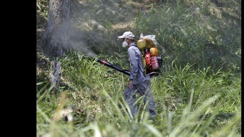 Rousseff declara la guerra al mosquito transmisor del zika