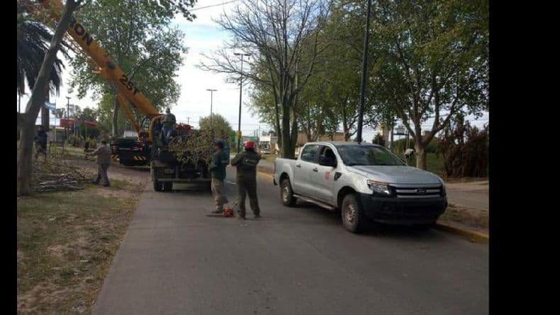 Mantenimiento del arbolado mediante tareas de poda en distintas zonas de Pergamino