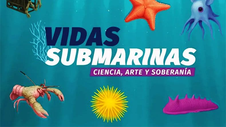 Luego del furor del streaming del Conicet la muestra Vidas Submarinas llega a Mar del Plata
