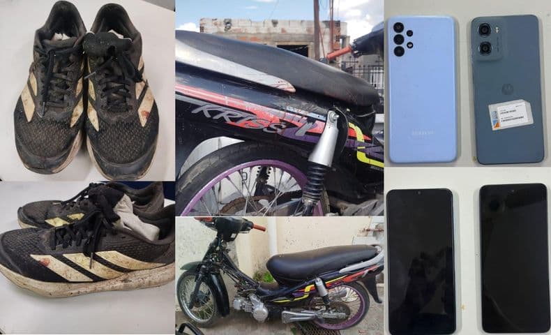 Abigeato en Mariano H. Alfonzo: recuperaron un cerdo robado en un criadero y aprehenden a los dos sospechosos