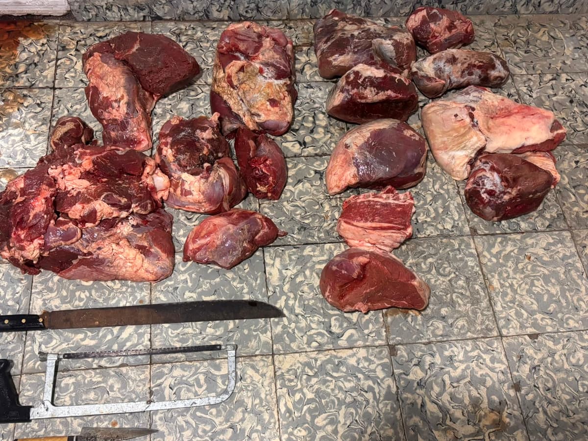 Abigeato en Pergamino: múltiples allanamientos del CPR permitieron secuestrar carne, herramientas y droga