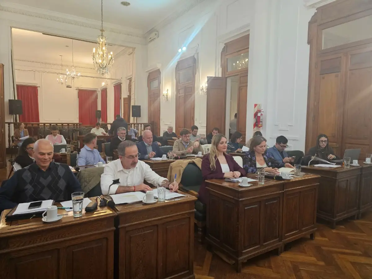 El Concejo Deliberante distinguió a Gustavo Pérez Ruiz y desarrolló una nueva sesión ordinaria