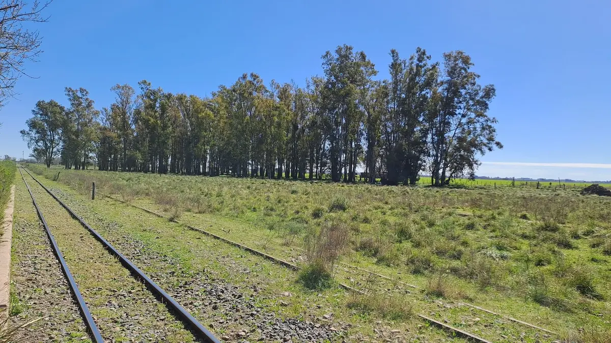 Identificaron a la víctima del homicidio en Paraje Pujol: mataron a un joven e imputaron a un padre y su hijo