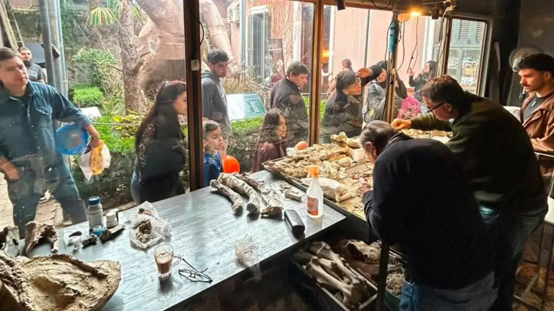 San Pedro: Más de 1.300 personas visitaron el Museo Paleontológico durante la Fiesta de la Naranja