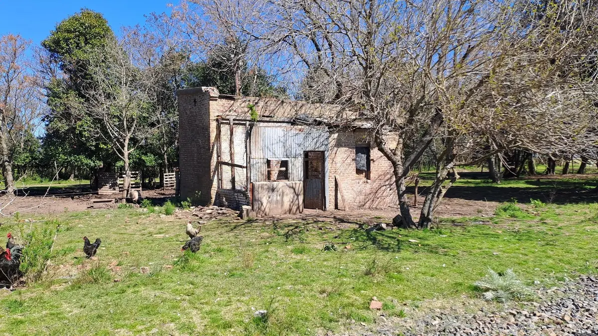 Video clave del crimen en Paraje Pujol: imputarán a Ramiro Otermín por el homicidio de Juan Benítez y dos intentos de asesinato