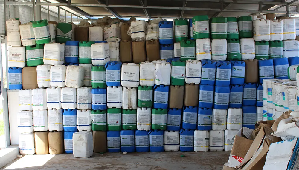 Bidones sin lavar: una falla que amenaza el sistema de reciclado de envases del campo