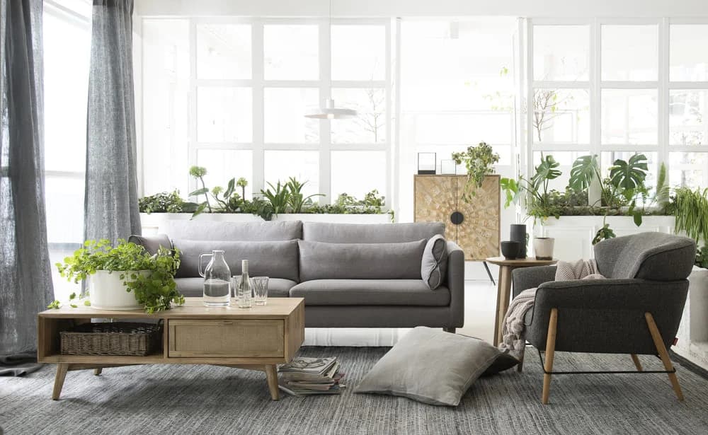 Cómo hay que decorar el living para que fluya la energía, según Feng Shui