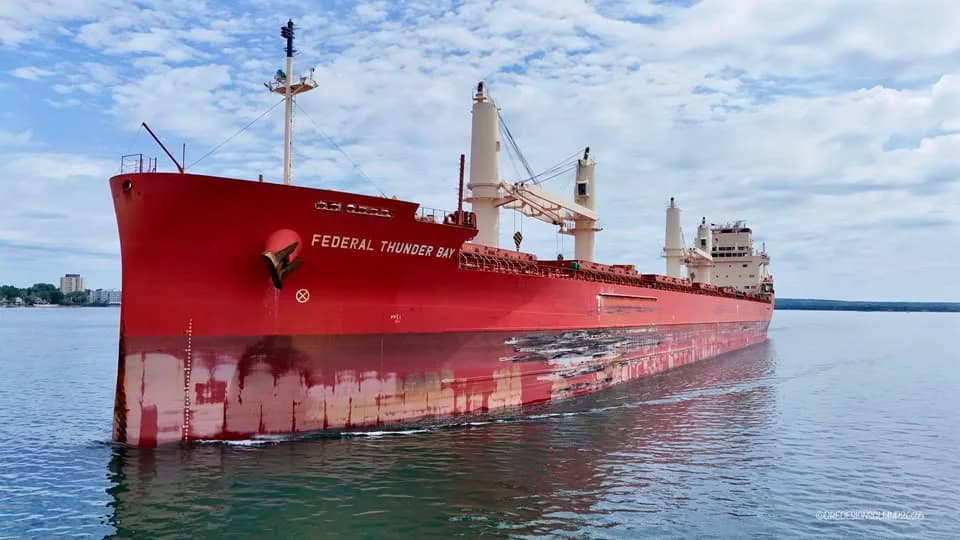De San Pedro a Brasil: El Federal Thunder Bay cargará 33 mil toneladas de trigo