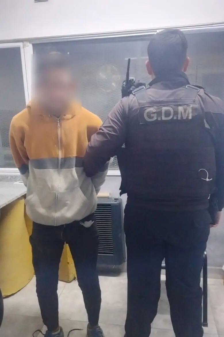 Detuvieron a un sujeto con pedido de captura por una causa de violencia familiar