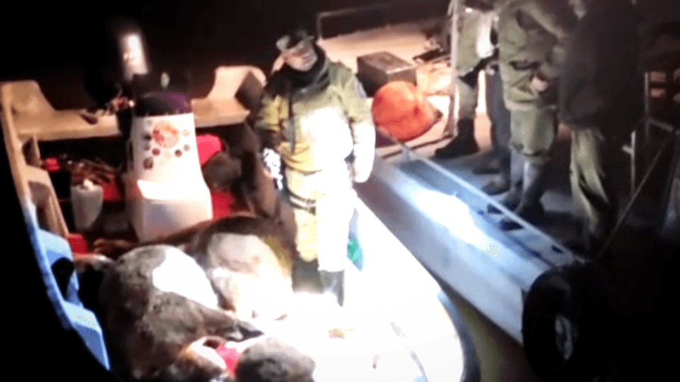 Investigan si cuatreros de la ciudad de San Pedro participaron de un violento ataque en las islas entrerrianas