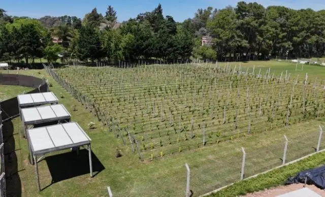 Labory Wines consolida en Zárate un proyecto que une vino, turismo y producción